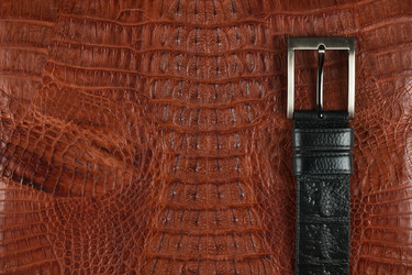 Similar image 21952033