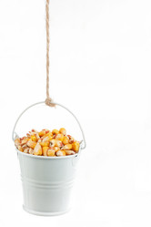 Similar image 21952431