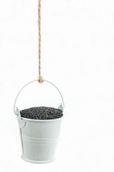 Similar image 21952439