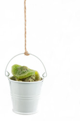 Similar image 21952441