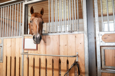 Similar image 21954190