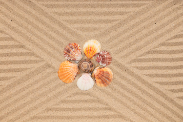 Similar image 21952059