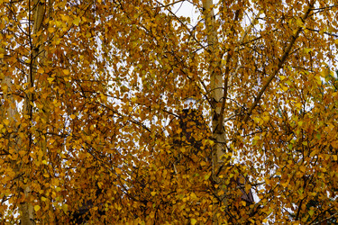 Similar image 21973163