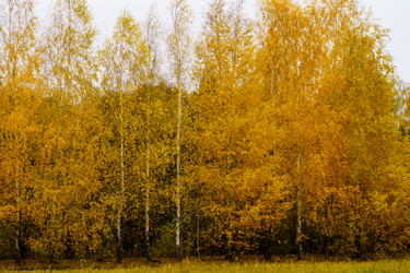 Similar image 21973165