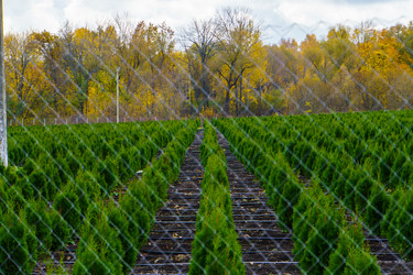 Similar image 21973169