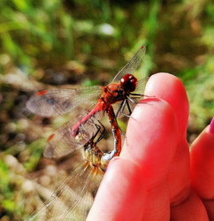 Similar image 21968350