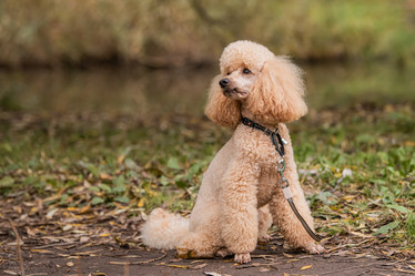 Similar image 21952452