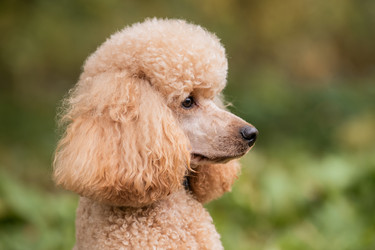 Similar image 21952453