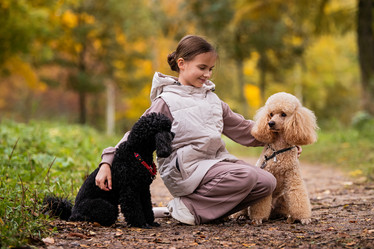 Similar image 21952457