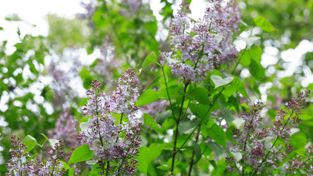 Similar image 21963794