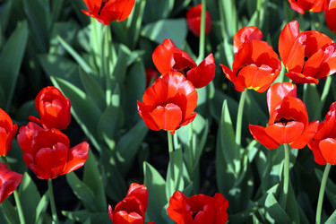 Similar image 21963796