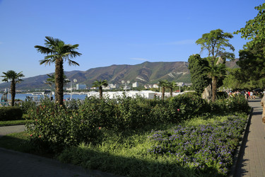 Similar image 21951532