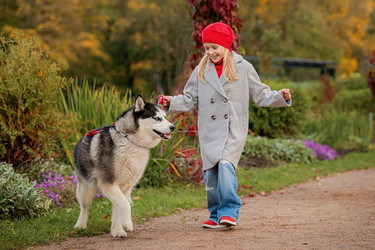 Similar image 21952469