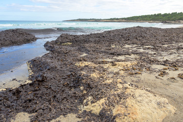 Similar image 21951351