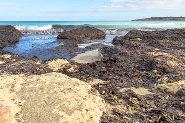 Similar image 21951352