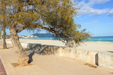 Similar image 21951357