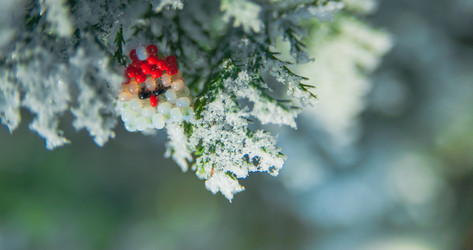 Similar image 21951675