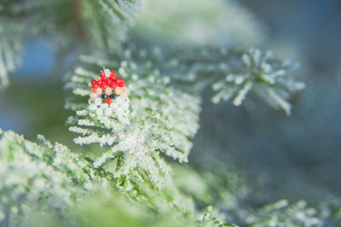 Similar image 21951676