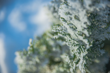 Similar image 21951680