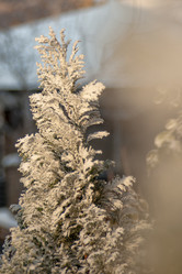 Similar image 21951682