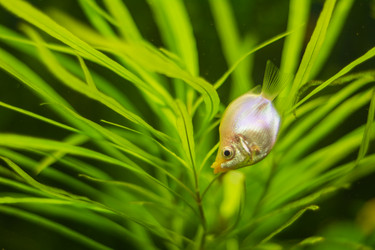 Similar image 21951683