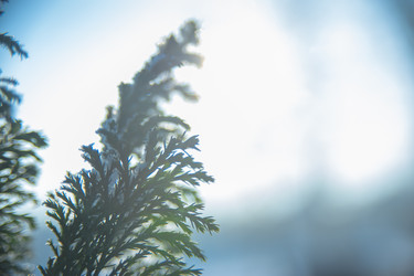 Similar image 21951684