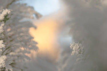 Similar image 21951685