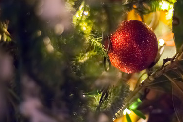 Similar image 21951686