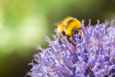 Similar image 21951688