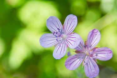 Similar image 21951689