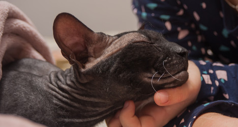 Similar image 21951690