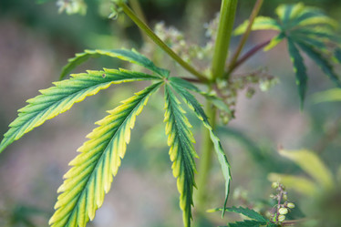 Similar image 21951692