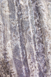 Similar image 21951693