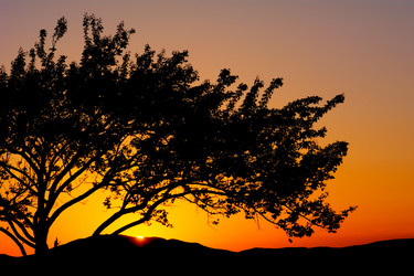 Similar image 21951700