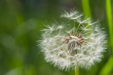 Similar image 21951702