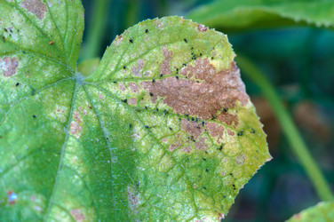 Similar image 21951359