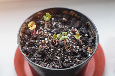 Similar image 21953593