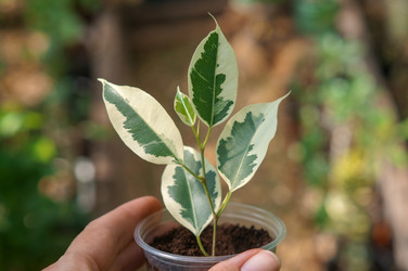 Similar image 21969371