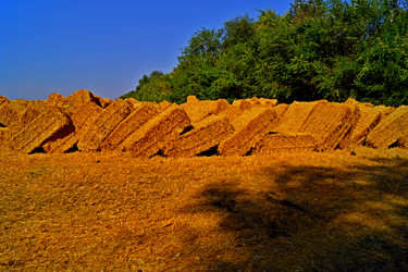 Similar image 21951367