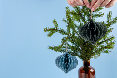 Similar image 21951751