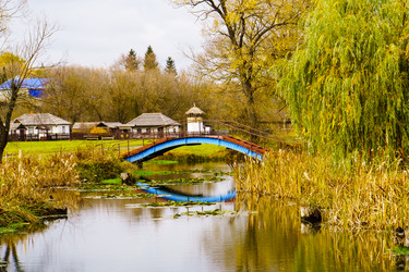 Similar image 21974438