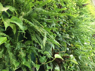 Similar image 21971592