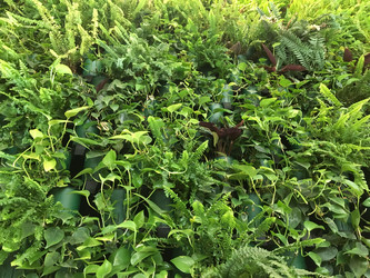 Similar image 21971596