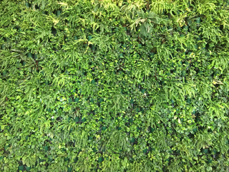 Similar image 21971598