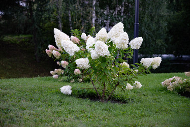 Similar image 21951766