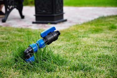 Similar image 21951770