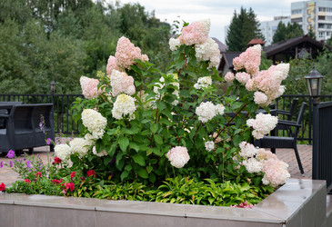 Similar image 21951771