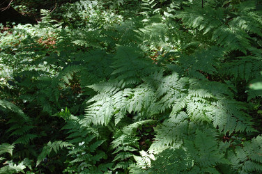 Similar image 21951777