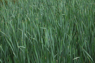 Similar image 21951778