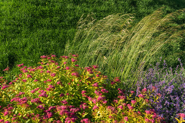 Similar image 21951377